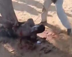 Mentally ill murderer stabbed to death during lynching