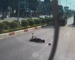 Moped rider killed by cement truck