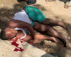 Motorcyclist dies in head-on collision with truck