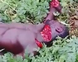 Nigerian villager murdered with machete by Islamists