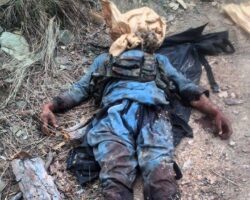 Pakistani terrorist eliminated in Kashmir