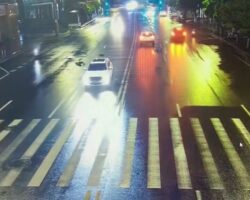 Pedestrian struck and killed by female driver