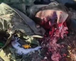 Russian soldier has his brain blown out