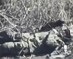 Russian soldier’s suicide attempt fails after drone strike damage