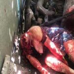 Schizophrenic decapitated his mother with axe