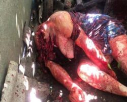 Schizophrenic decapitated his mother with axe