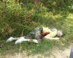 Scottish tourist killed by elephant on Thai island of Koh Samui