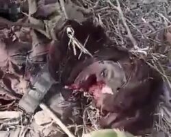 Several eliminated Boko Haram terrorists in Nigeria