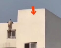 Tearful man ends it all by jumping from roof