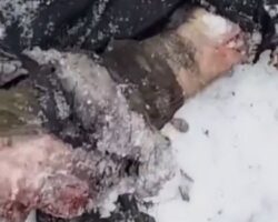 Ukrainian soldier found torn apart and disemboweled