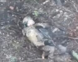 Wounded Russian soldier ends his life to escape suffering