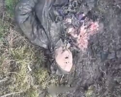 37th Marines Brigade managed to kill 31 enemies in just one day