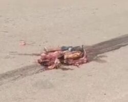 Bangladeshi man crushed while trying to cross road