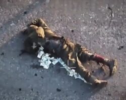 Banknotes spill out of soldier hit by drone