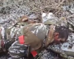 Blown-up Russian armored personnel carrier with bodies around