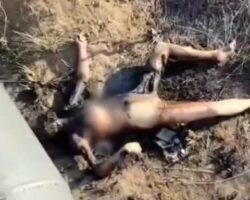 Burned female body found with signs of sexual violence