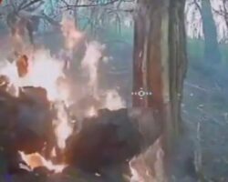 Burning russian corpse in Ukrainian forest