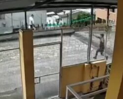 CCTV captured contract killing in the middle of street