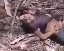 Cartel members mutilate their dead female rival with assault rifle