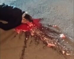 Cyclist’s brain splattered on road