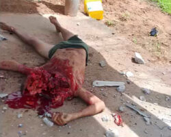 Cyclist’s head exploded in collision with car