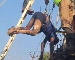 DIY electrician paid with his life