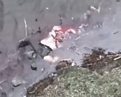 Drone explosion sends Russian soldier into pond
