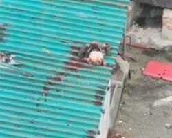 Drone rips Russian soldier in half