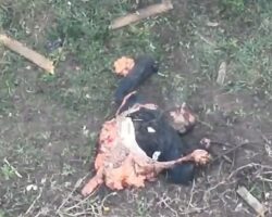 Drone was faster than his suicidal intentions