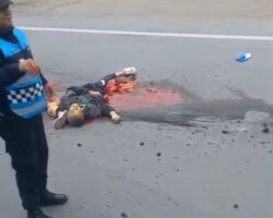 Elderly cyclist crushed to death by bus