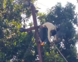 Energy company employee electrocuted on utility pole