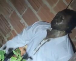 Farmer found hanged near his home