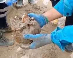 Human remains discovered at construction site