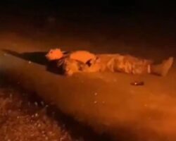 ISIS terrorist assassinated Syrian soldier