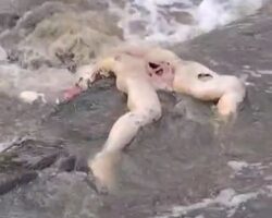 Missing woman found dead in river