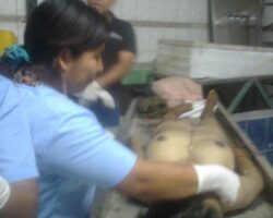 Morgue staff training