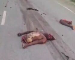 Motorcyclist torn to pieces in collision with truck