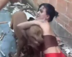 Pit bull used as weapon of torture against young woman