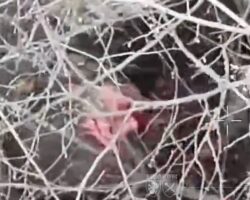 Severely injured Russian soldier commits suicide