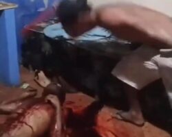 Stabbed to death over small amount of marijuana