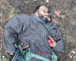 Terrorist killed during shootout with armed forces