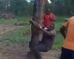 Tied to tree and whipped for romantic relationship with minor
