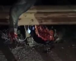 Truck driver lost control and killed four pedestrians