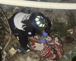 Two bodies with signs of strangulation found dumped in ditch