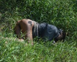 Woman found in state of decomposition with signs of sexual violence