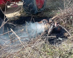 Woman fried after coming into contact with high voltage