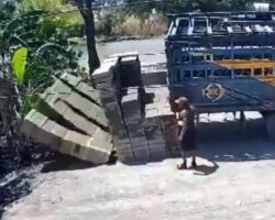 Worker fatally crushed by concrete blocks