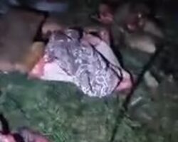 Aftermath of attack on Al-Ahli hospital