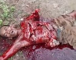 Brazilian brutally murdered with machete
