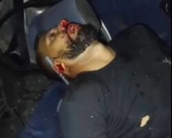 Brazilian couple killed in head-on crash